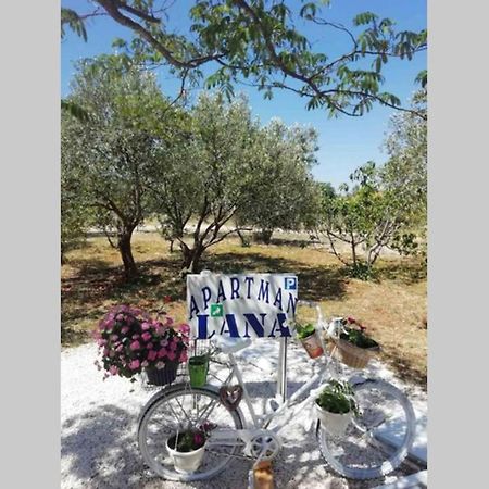 Apartman Lana Lozovac Extérieur photo